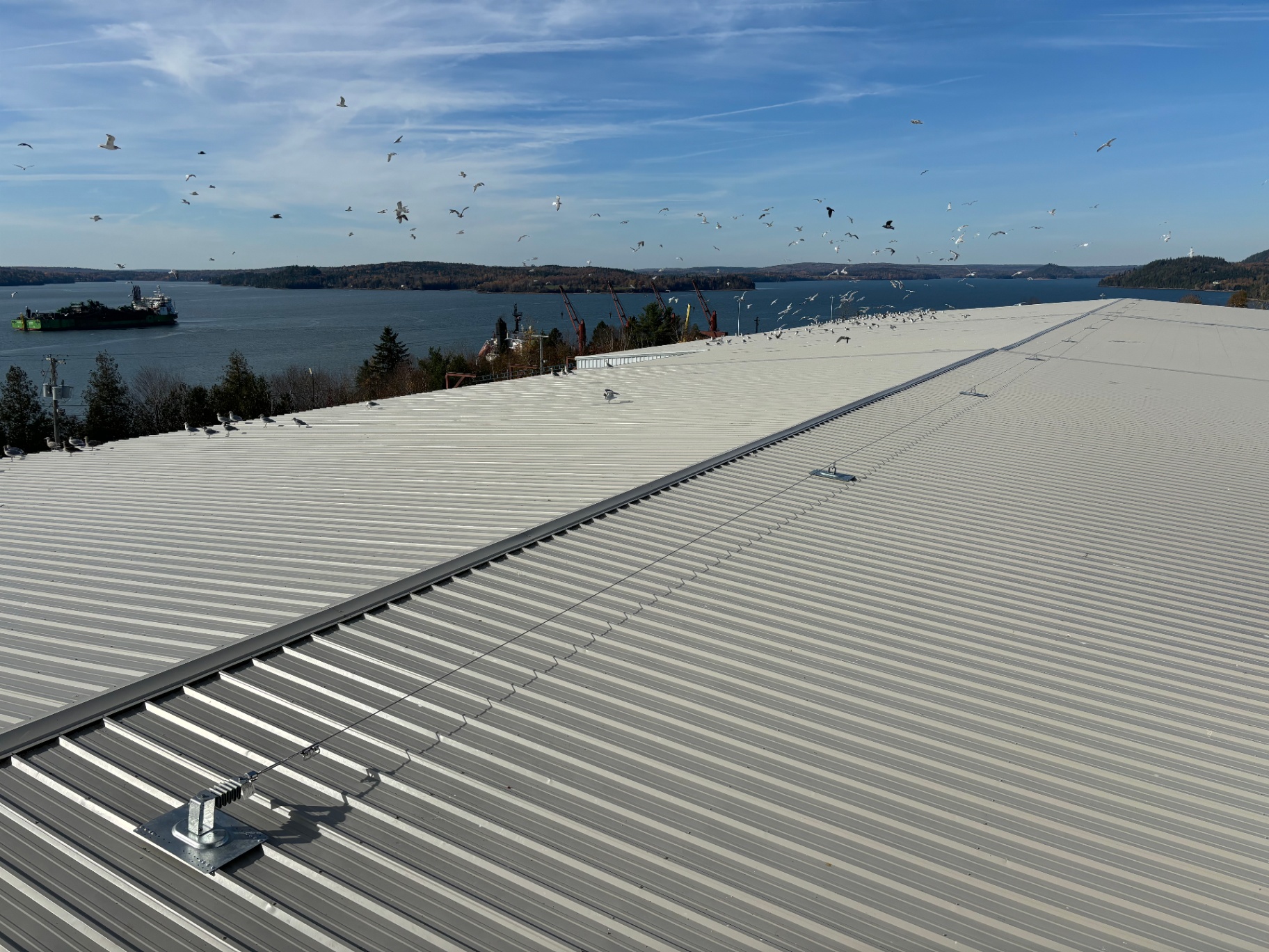 Horizontal lifeline cable system installed across a waterfront industrial rooftop